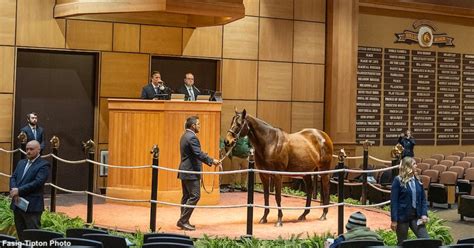 fasig tipton sales results|Current and Upcoming Sales .